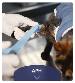 Inter Hospitalar (2).png